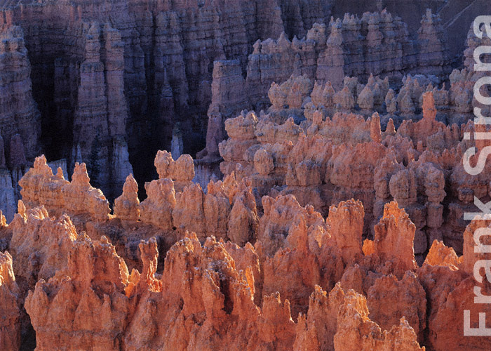 Dwarf Parade Bryce Canyon © Frank Sirona