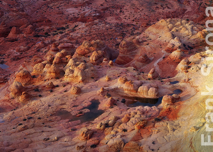 Candyland Petrified Dunes © Frank Sirona
