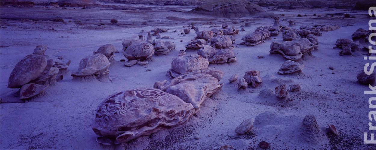 Outbreak © Frank Sirona