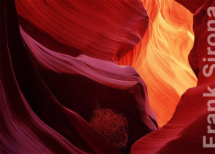 In the Cradle Slot Canyon © Frank Sirona