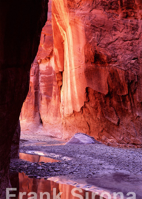 After the Flood Desert © Frank Sirona